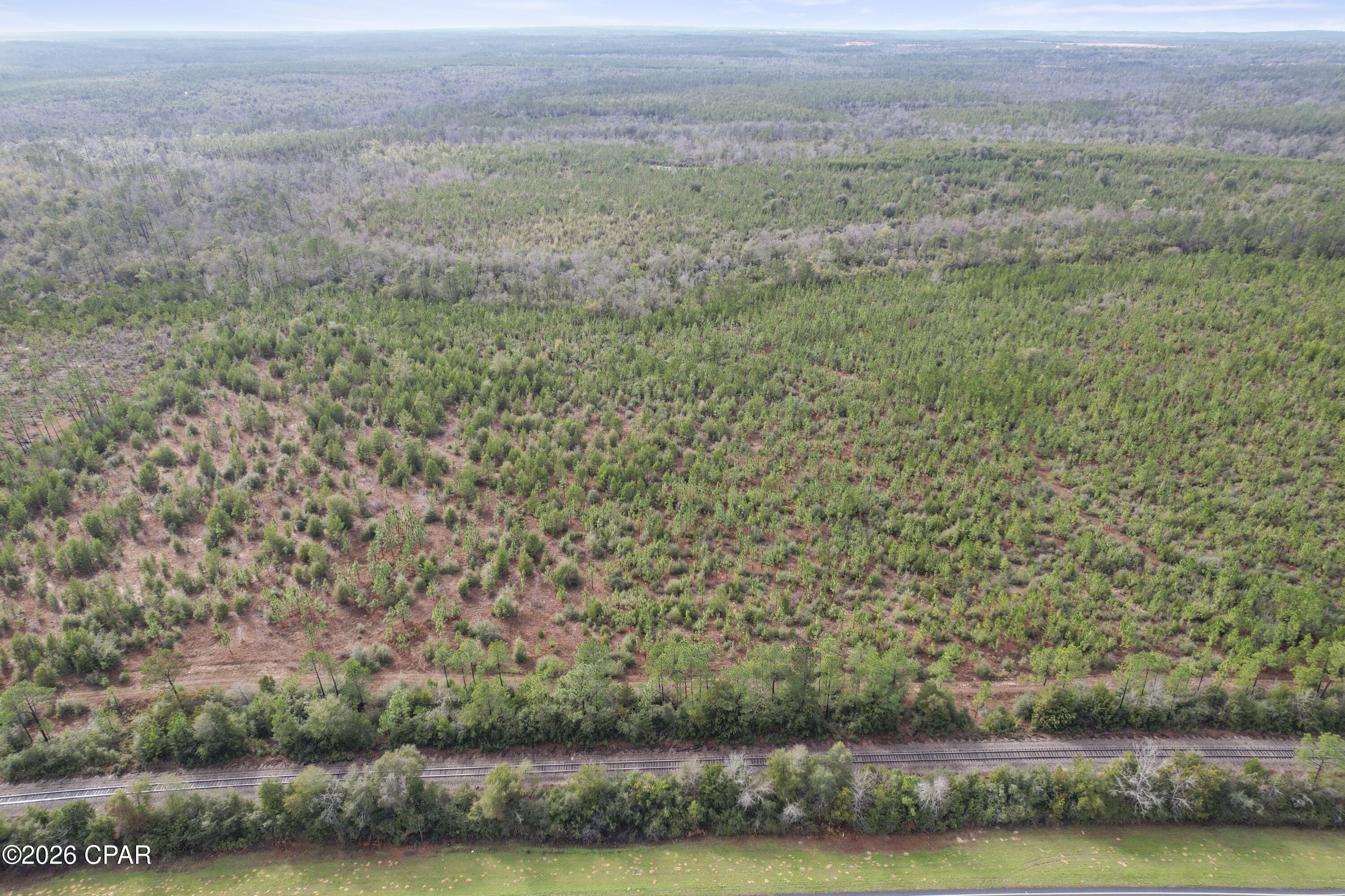 495 City Square Road Alford, FL 32420 - Photo 11 of 17