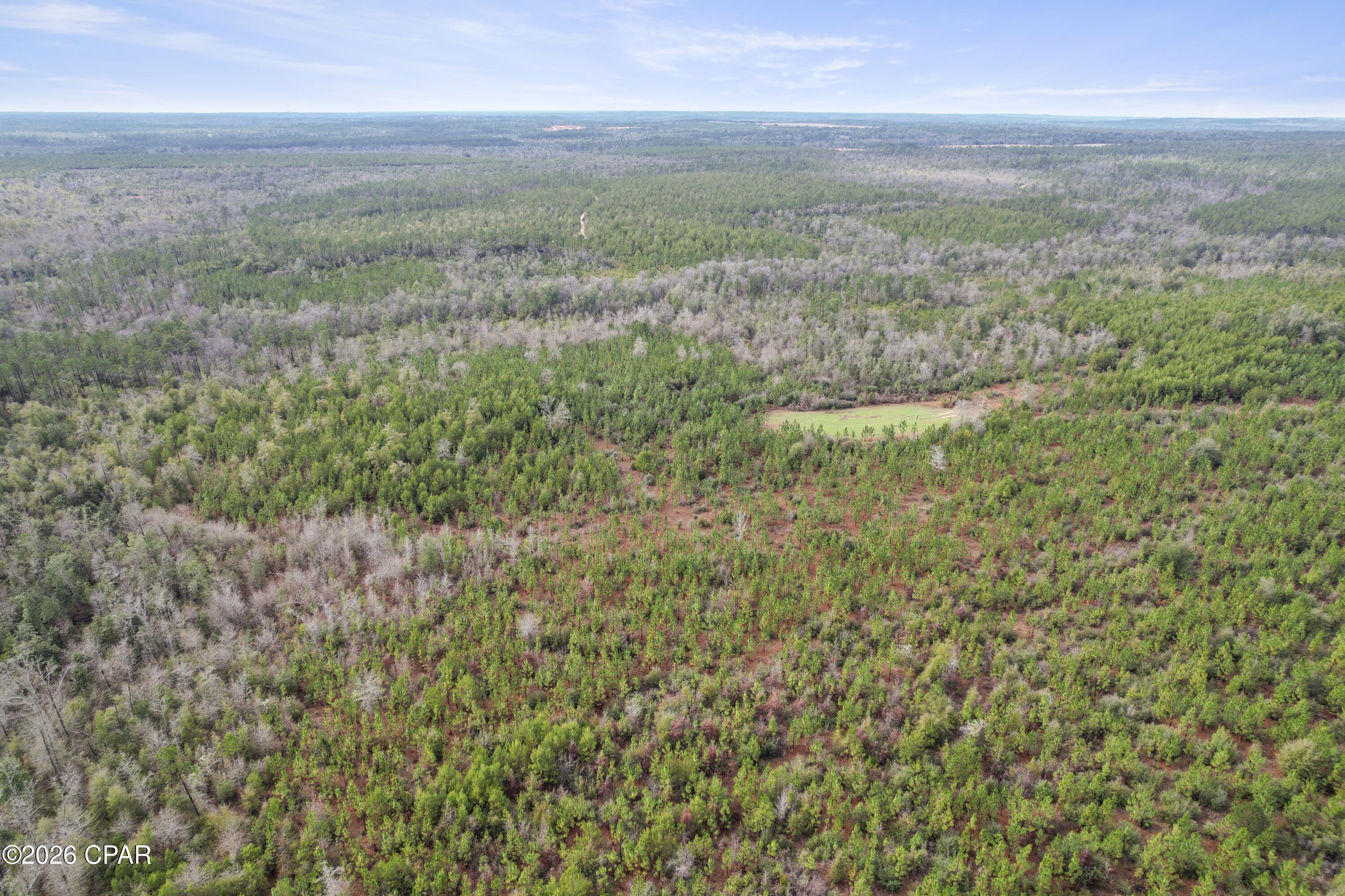 495 City Square Road Alford, FL 32420 - Photo 17 of 17