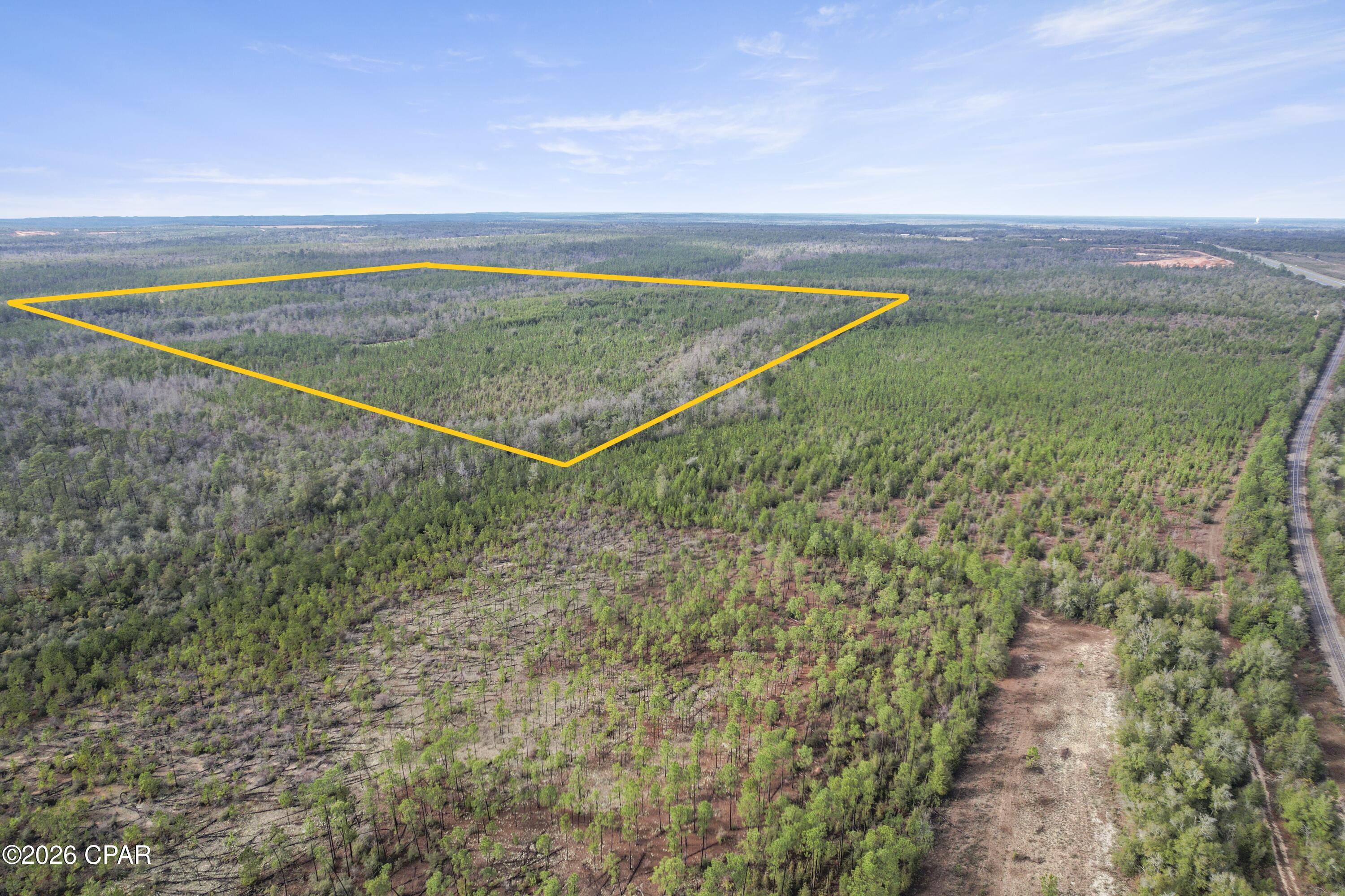 495 City Square Road Alford, FL 32420 - Photo 4 of 17