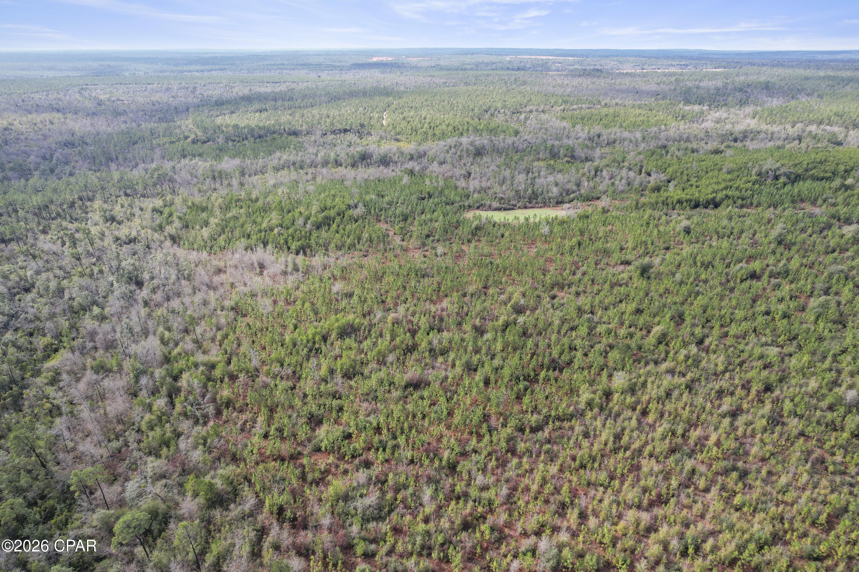 495 City Square Road Alford, FL 32420 - Photo 6 of 17