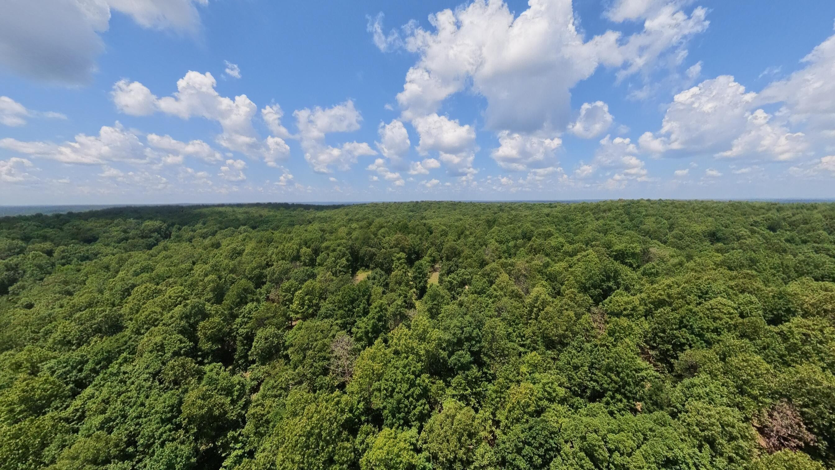 10824 Upper Janes Creek Road Ravenden, AR 72459 - Photo 55 of 79 93 acre hunting property054