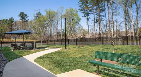 a view of a park with large trees
