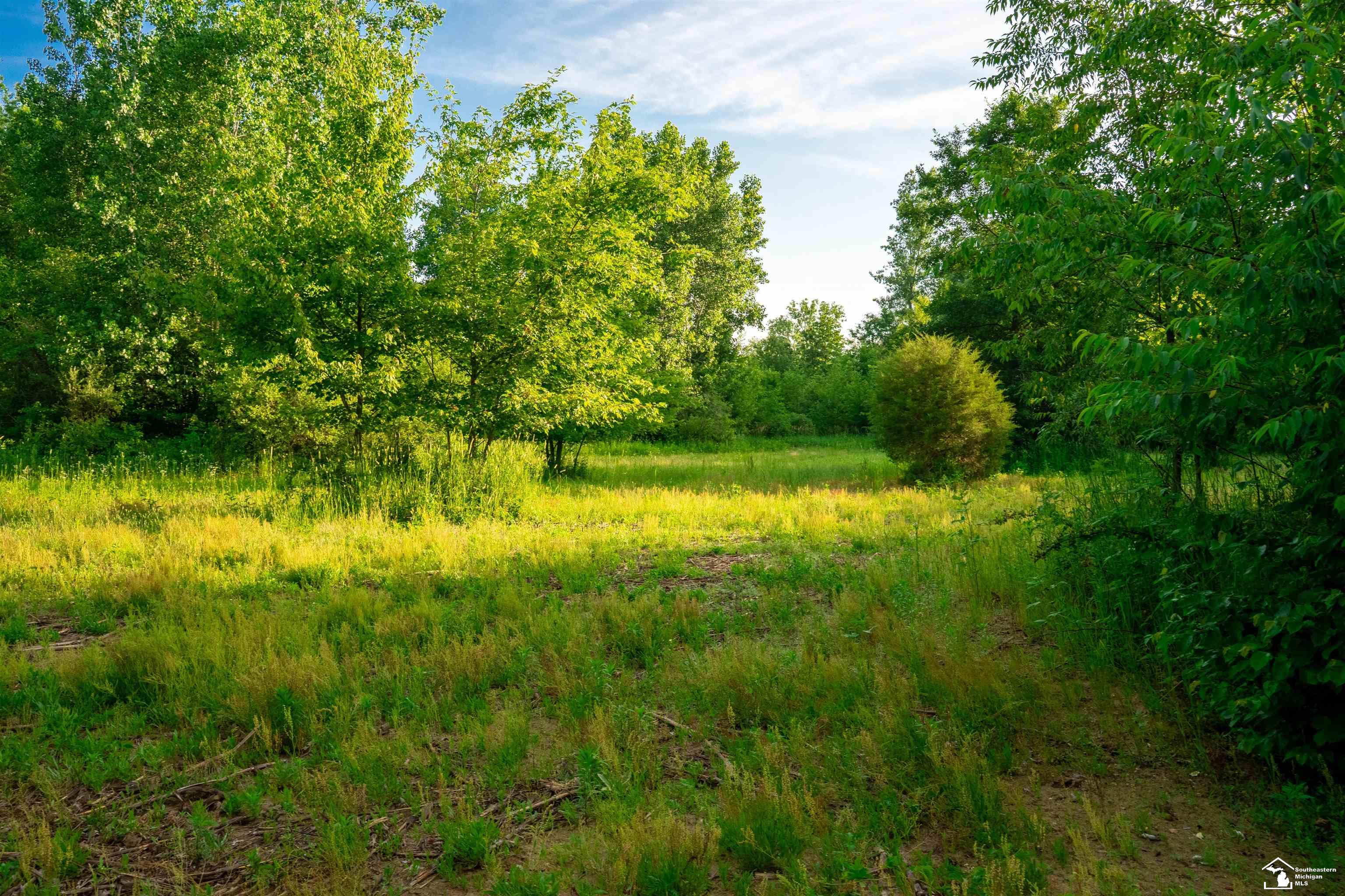 Parcel D Timbers Road Carleton, MI 48117 - Photo 6 of 20