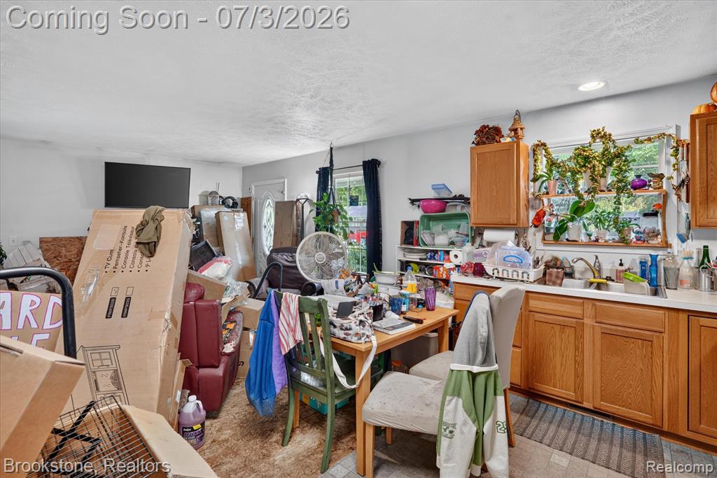 407 East Elizabeth Street Eaton Rapids, MI 48827 - Photo 10 of 29