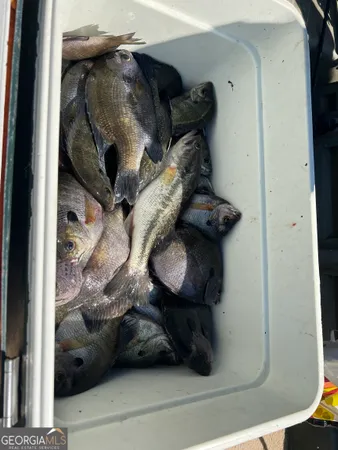 $129,900 | 1564 Eagles Point, Surrency, GA 31563