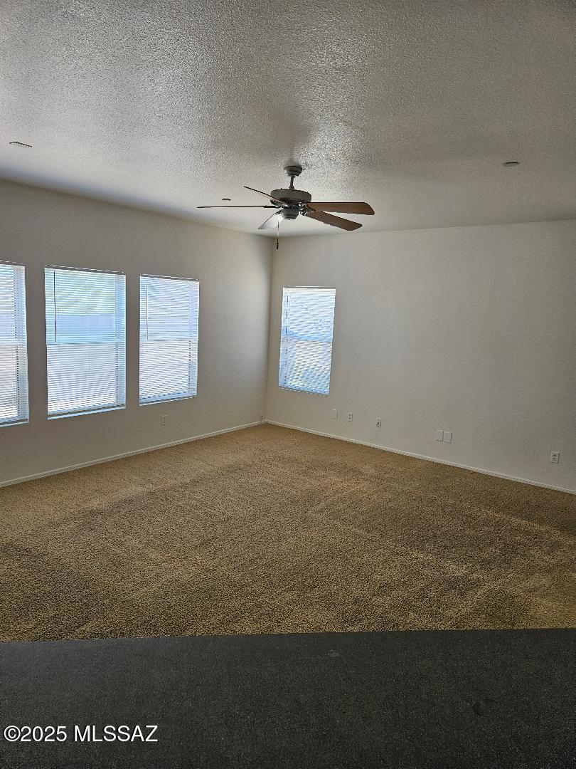 3195 West Treece Way Tucson, AZ 85742 - Photo 5 of 28