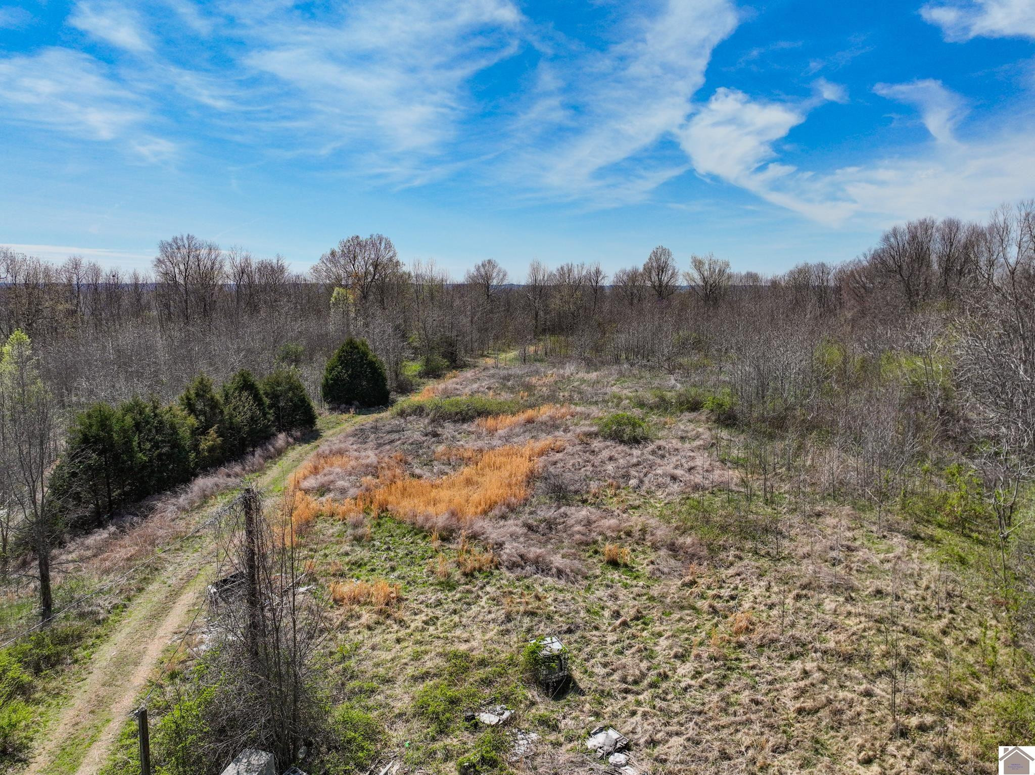 0 Copper Hill Road Mayfield, KY 42066 - Photo 13 of 16 Photo 13