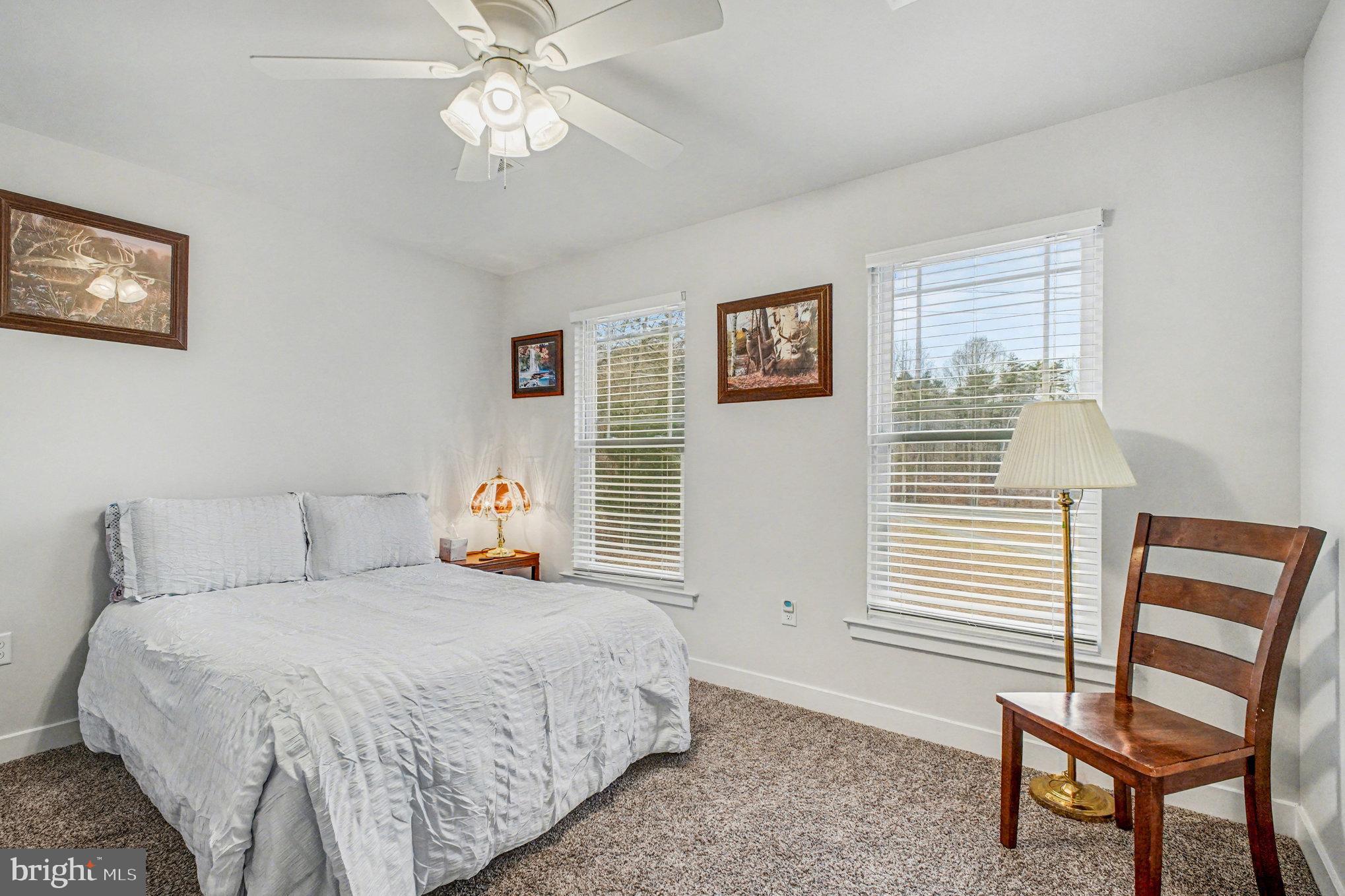 580 Kellogg Mill Road Fredericksburg, VA 22406 - Photo 22 of 41 a bedroom with a bed and a chandelier