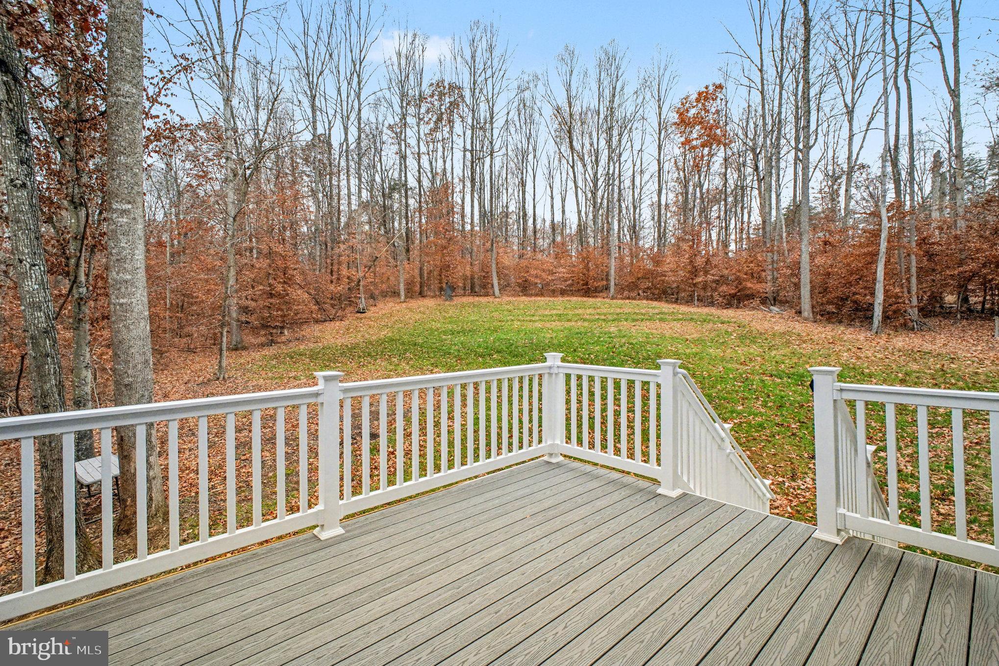 580 Kellogg Mill Road Fredericksburg, VA 22406 - Photo 30 of 41 a view of wooden deck