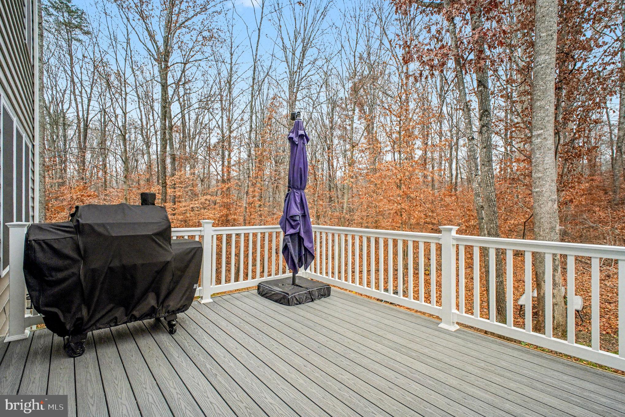 580 Kellogg Mill Road Fredericksburg, VA 22406 - Photo 31 of 41 a view of balcony with wooden floor and outdoor seating