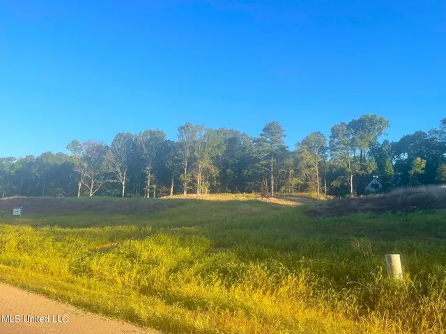 $135,000 | 2742 Plank Road, Hernando, MS 38632