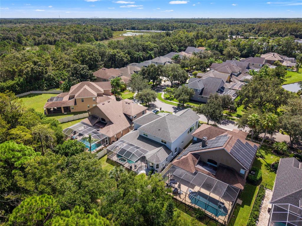 11621 Renaissance View Court Tampa, FL 33626 - Photo 43 of 83 Gallery Image 43