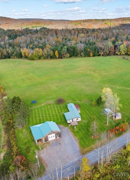 9137 Dole Road Steuben, NY 13438 - Photo 18 of 50