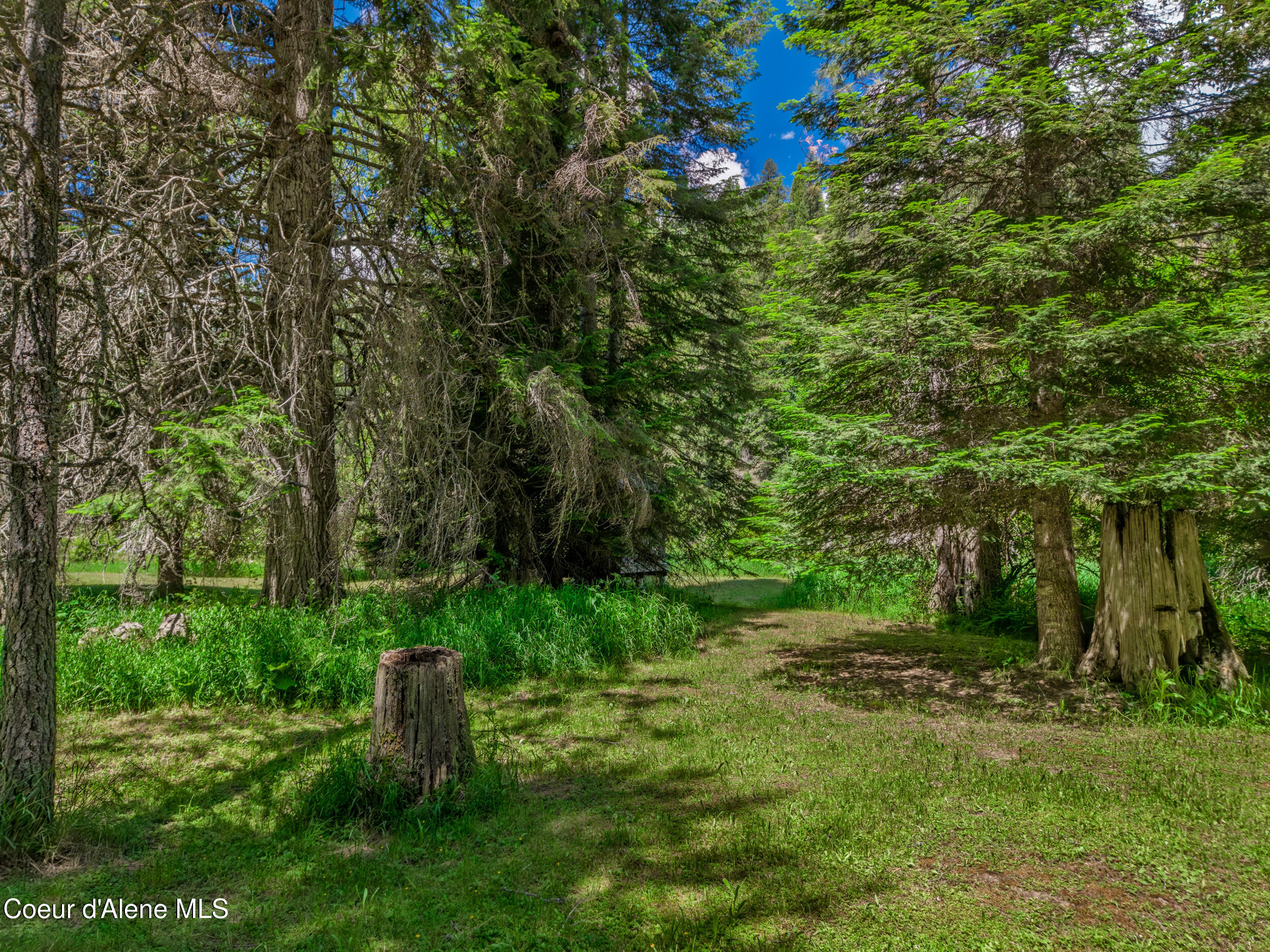 30839 St Joe River Road Calder, ID 83808 - Photo 21 of 33 Lawn