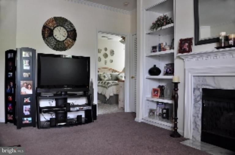 20415 Riverbend Square, Unit 101 Sterling, VA 20165 - Photo 9 of 23 Fireplace