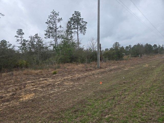 0 Northwest Nw Cr Altha, FL 32421 - Photo 3 of 7