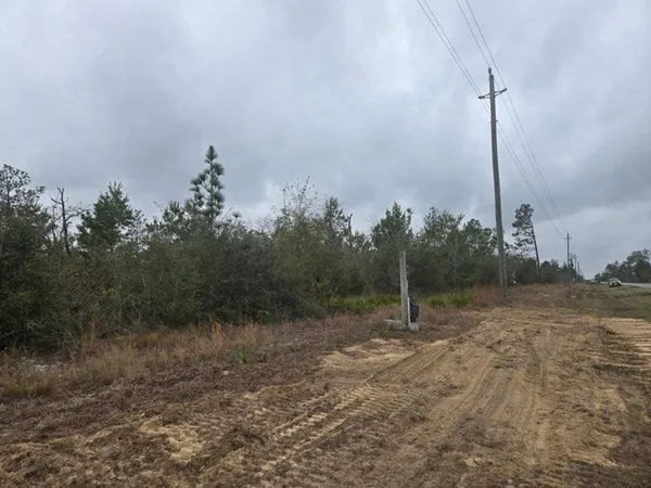 $80,000 | 0 Northwest Nw Cr, Altha, FL 32421