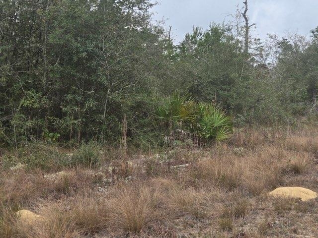 0 Northwest Nw Cr Altha, FL 32421 - Photo 4 of 7