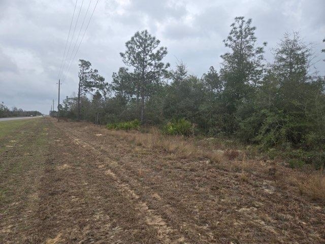 0 Northwest Nw Cr Altha, FL 32421 - Photo 5 of 7