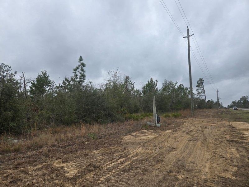 0 Northwest Nw Cr Altha, FL 32421 - Photo 6 of 7