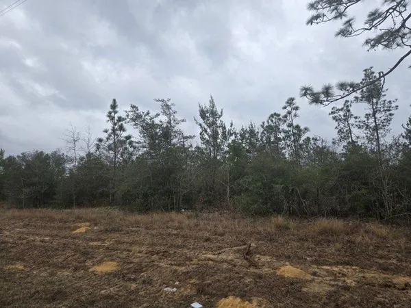 $80,000 | 0 Northwest Nw Cr, Altha, FL 32421