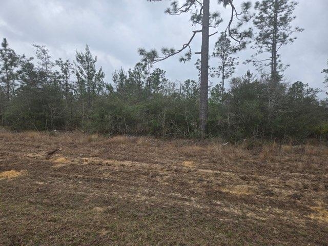 0 Northwest Nw Cr Altha, FL 32421 - Photo 7 of 7
