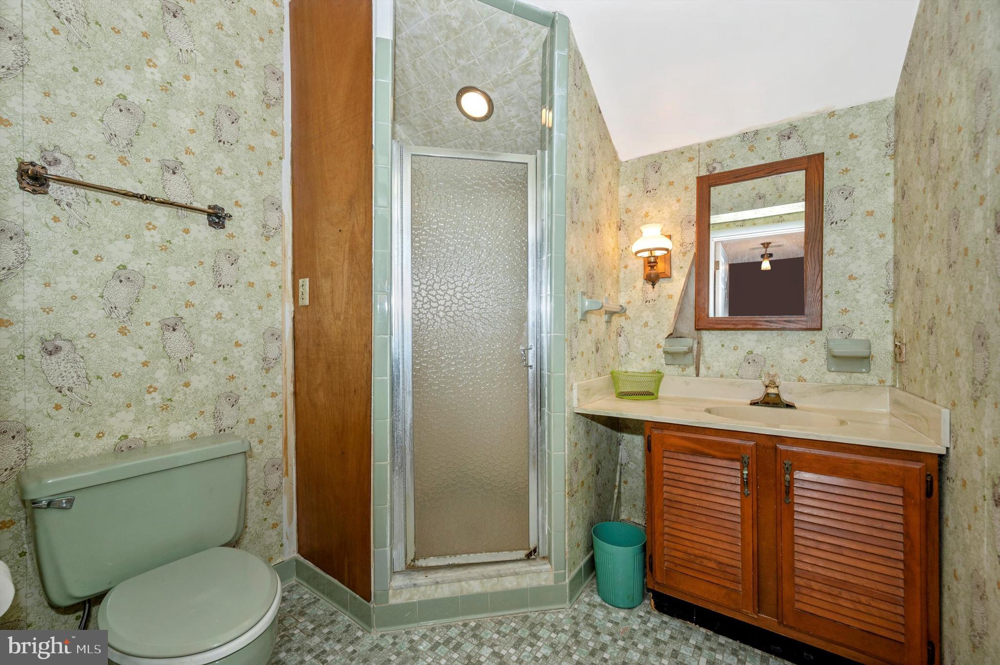 9106 Hamburg Road Frederick, MD 21702 - Photo 15 of 71 Hall Bath also adjoins Bedroom #2