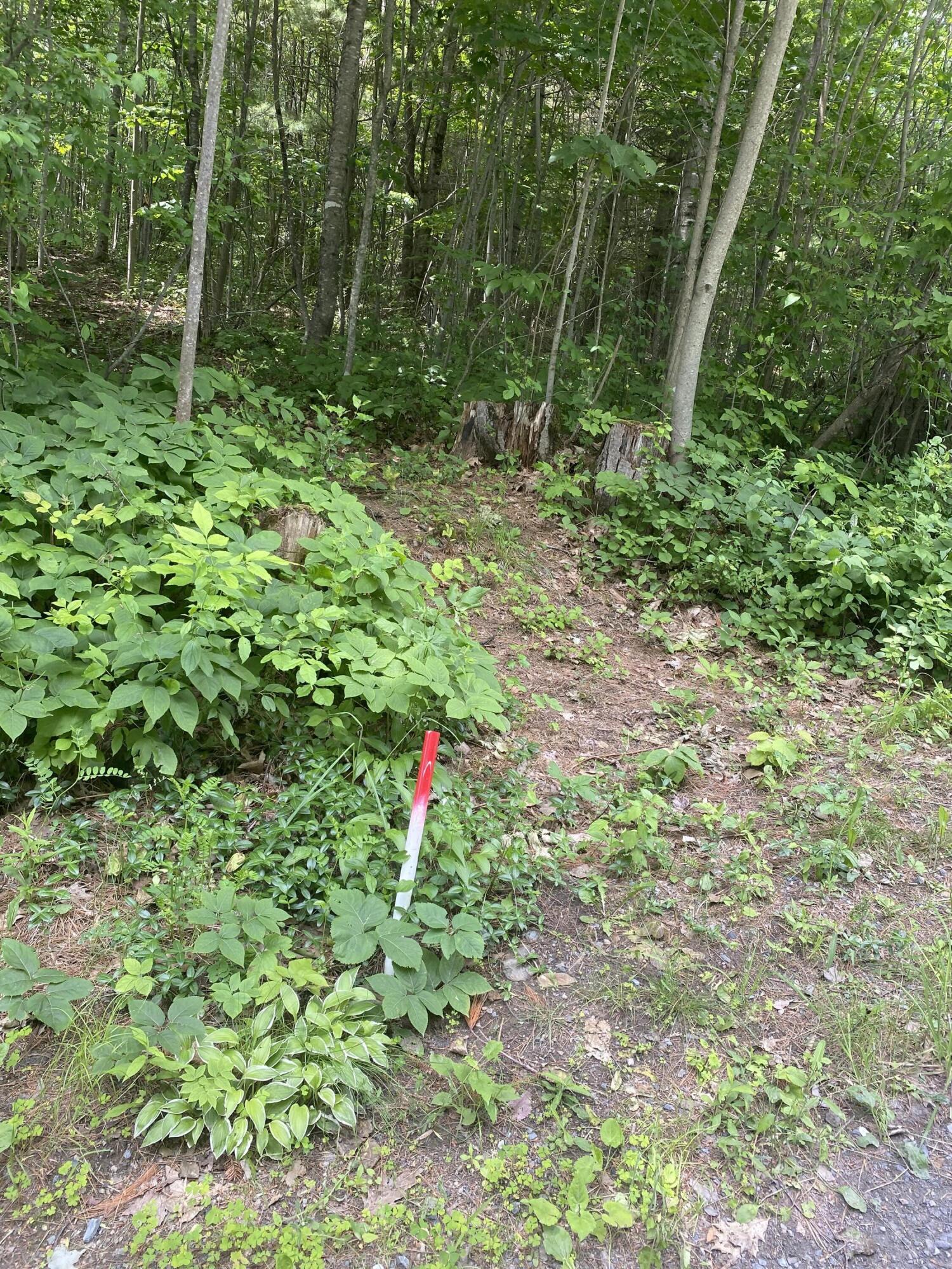582 Neck Road South China, ME 04358 - Photo 23 of 35 IMG_9144