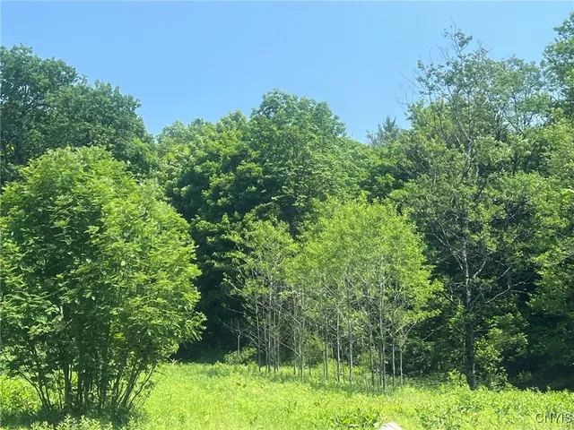 $255,777 | 11088 River Road, Florence, NY 13316