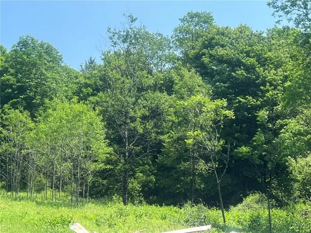 $255,777 | 11088 River Road, Florence, NY 13316