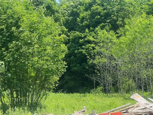 $255,777 | 11088 River Road, Florence, NY 13316