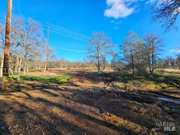 a view of a yard with wooden fence