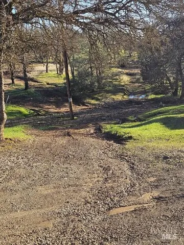 a view of a pathway with a yard