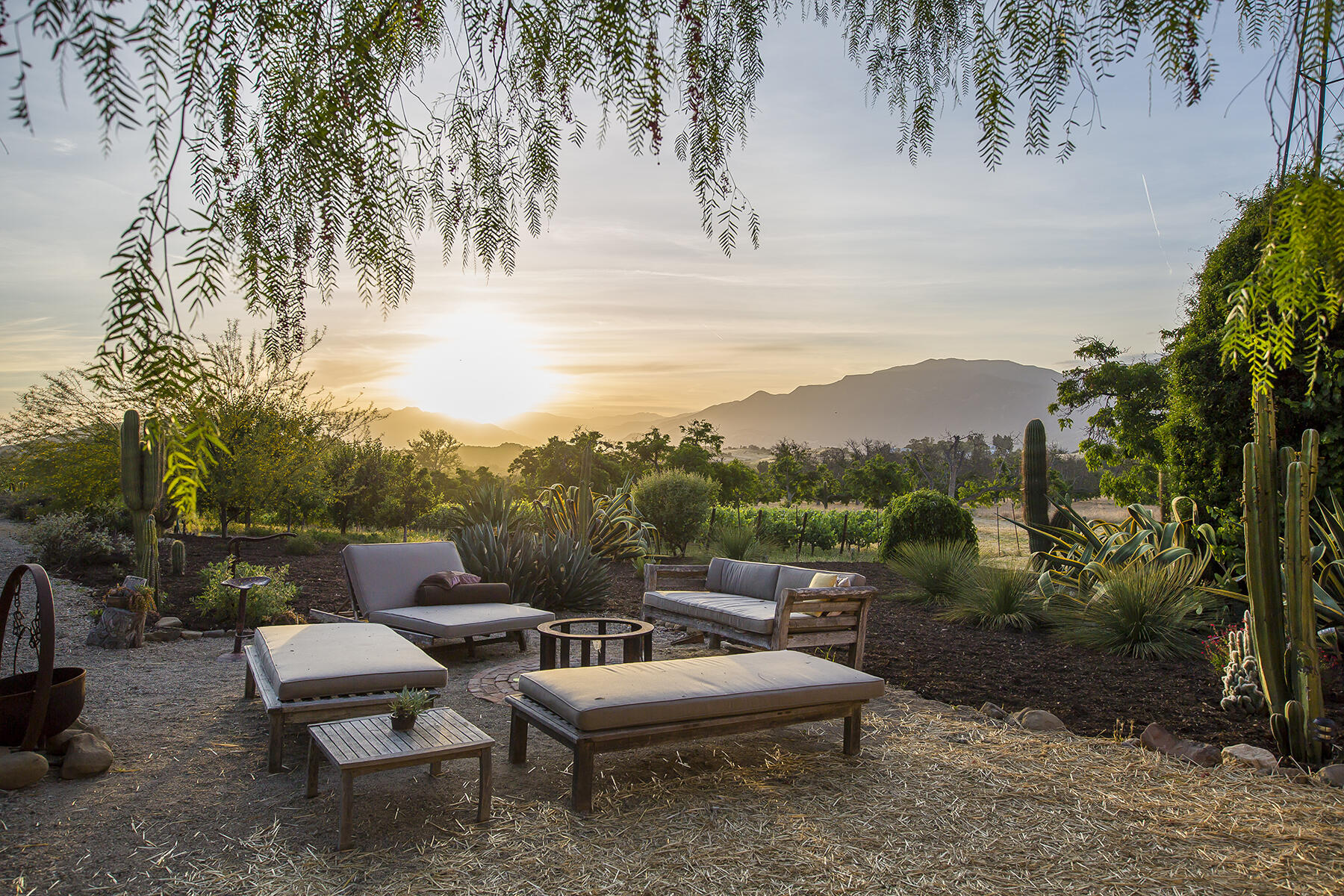 9342 Ojai Santa Paula Road Ojai, CA 93023 - Photo 23 of 45 S8C_9342 Ojai Santa Paula_13