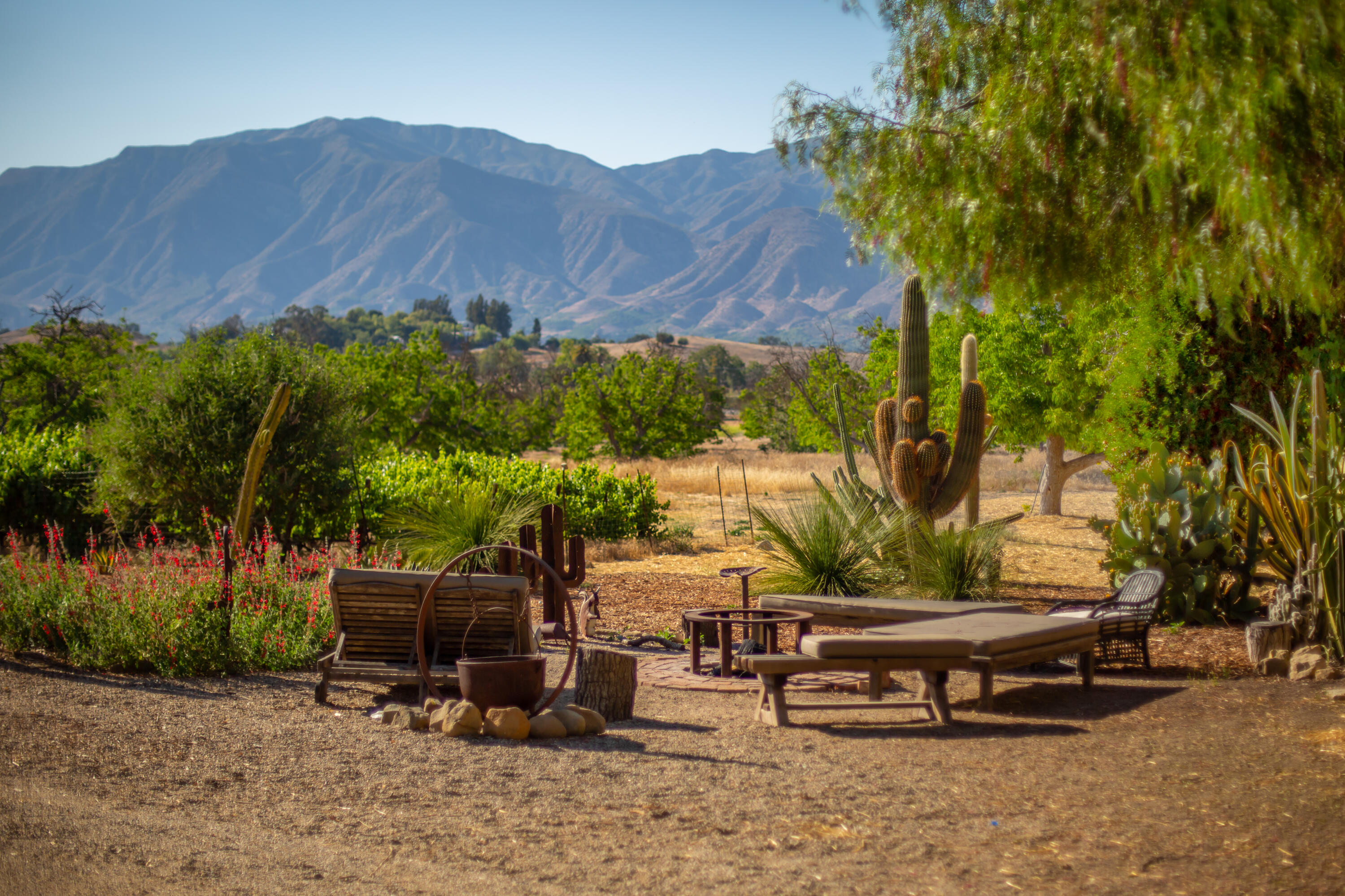 9342 Ojai Santa Paula Road Ojai, CA 93023 - Photo 25 of 45 S8C_9342 Ojai Santa Paula_12