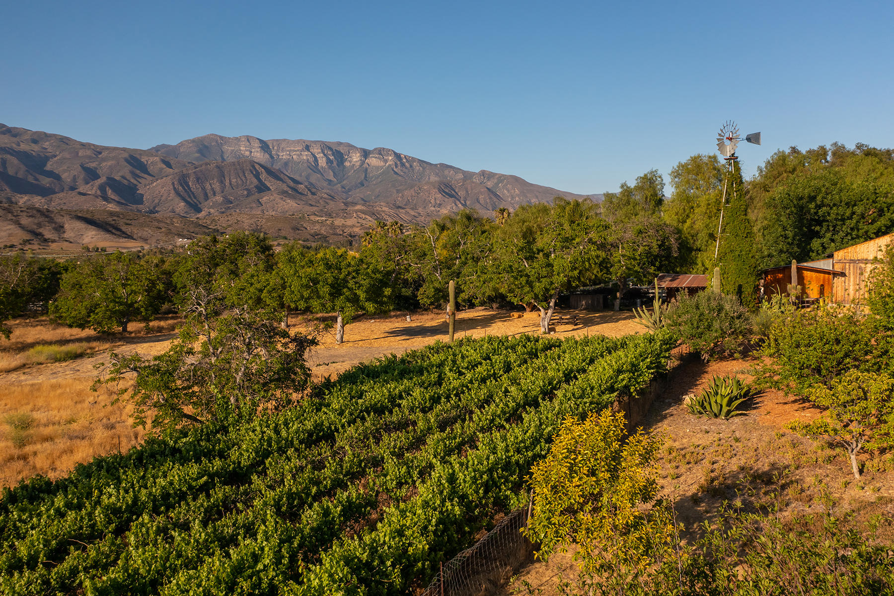 9342 Ojai Santa Paula Road Ojai, CA 93023 - Photo 32 of 45 S8C_9342 Ojai Santa Paula_19