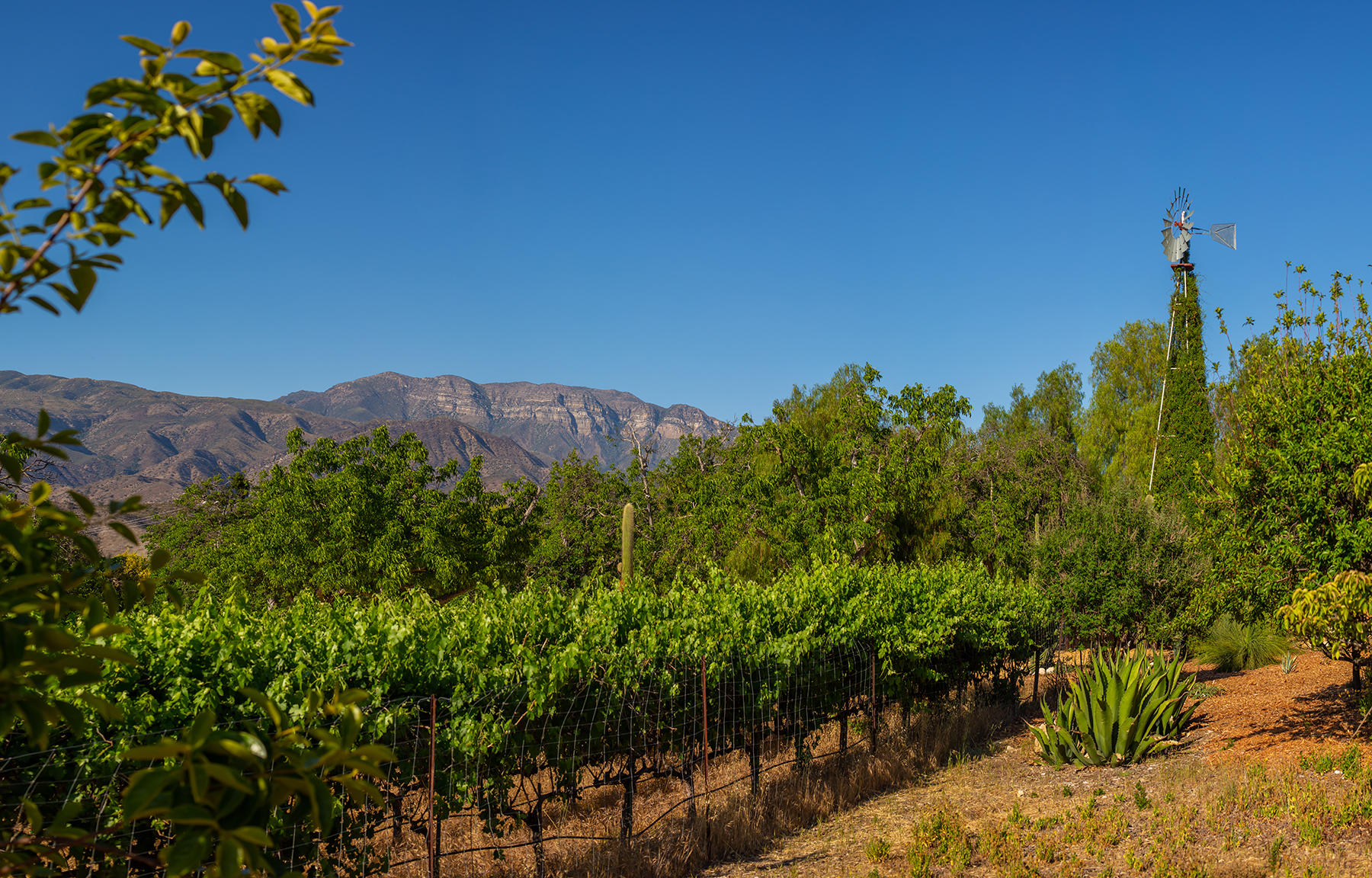 9342 Ojai Santa Paula Road Ojai, CA 93023 - Photo 35 of 45 S8C_9342 Ojai Santa Paula_24