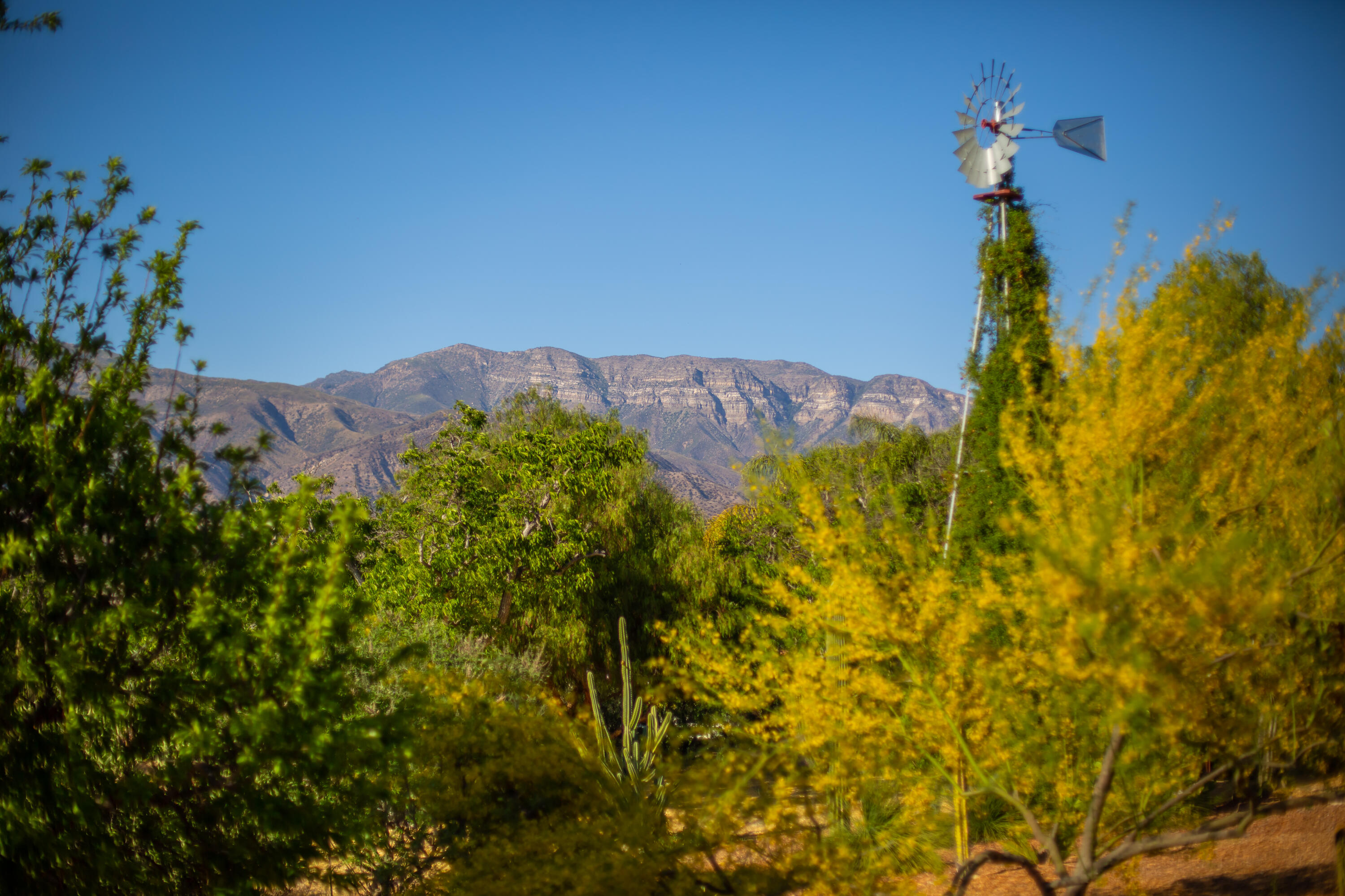 9342 Ojai Santa Paula Road Ojai, CA 93023 - Photo 38 of 45 S8C_9342 Ojai Santa Paula_21