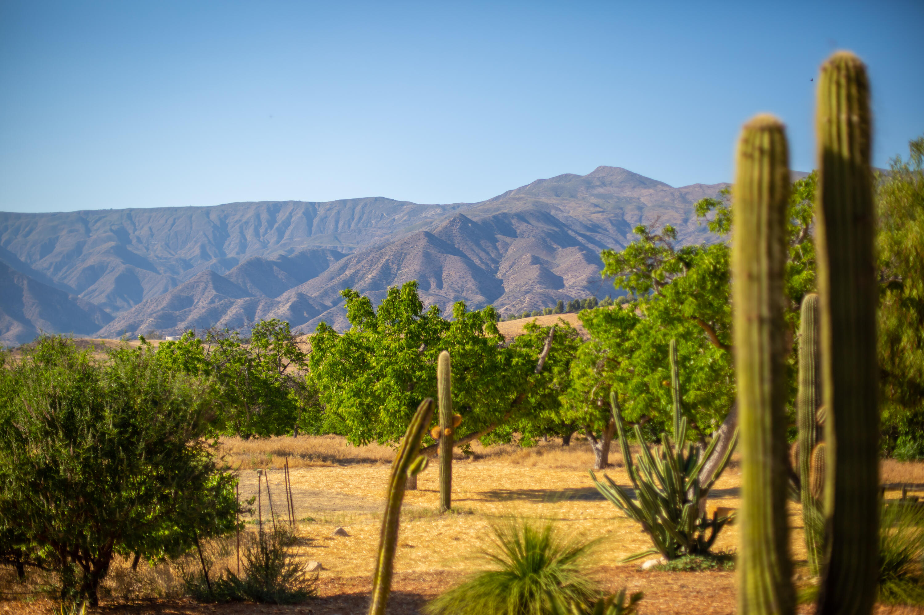 9342 Ojai Santa Paula Road Ojai, CA 93023 - Photo 39 of 45 S8C_9342 Ojai Santa Paula_23
