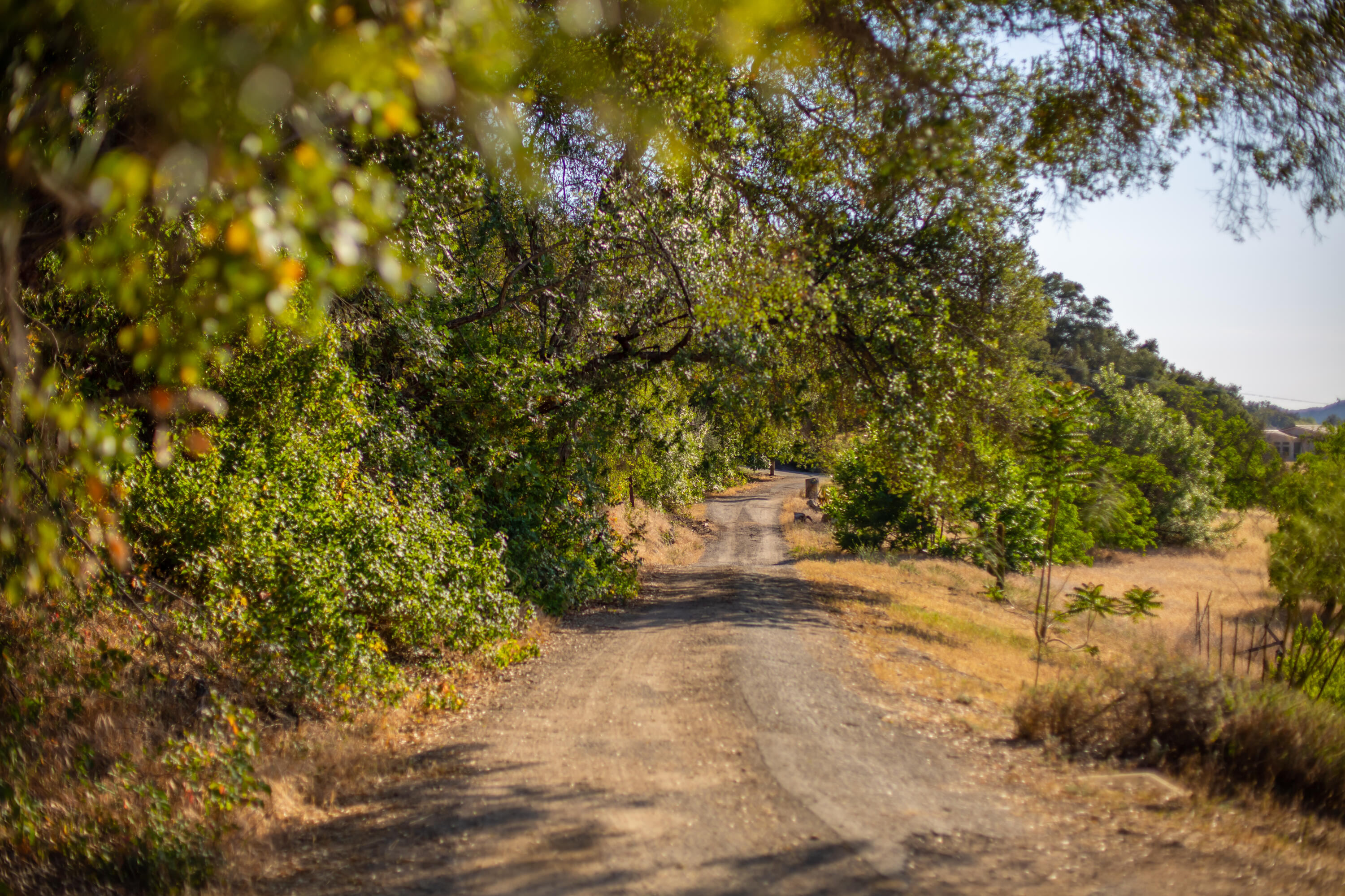 9342 Ojai Santa Paula Road Ojai, CA 93023 - Photo 41 of 45 S8C_9342 Ojai Santa Paula_35