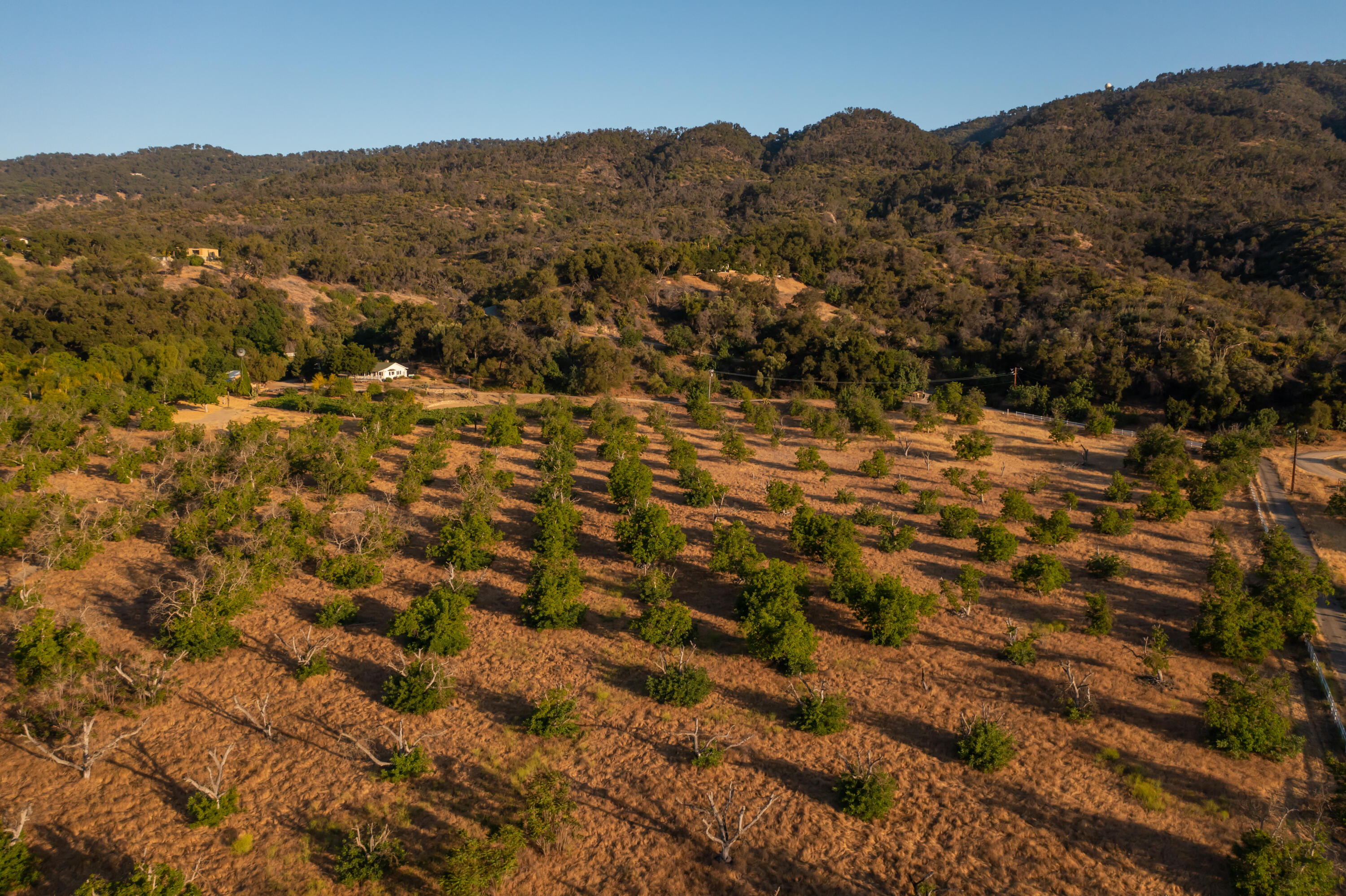 9342 Ojai Santa Paula Road Ojai, CA 93023 - Photo 43 of 45 S8C_9342 Ojai Santa Paula_43
