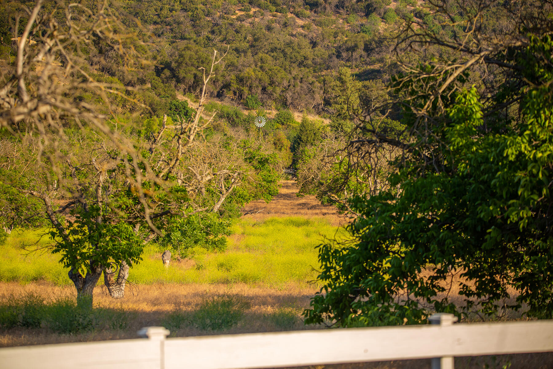 9342 Ojai Santa Paula Road Ojai, CA 93023 - Photo 44 of 45 S8C_9342 Ojai Santa Paula_40