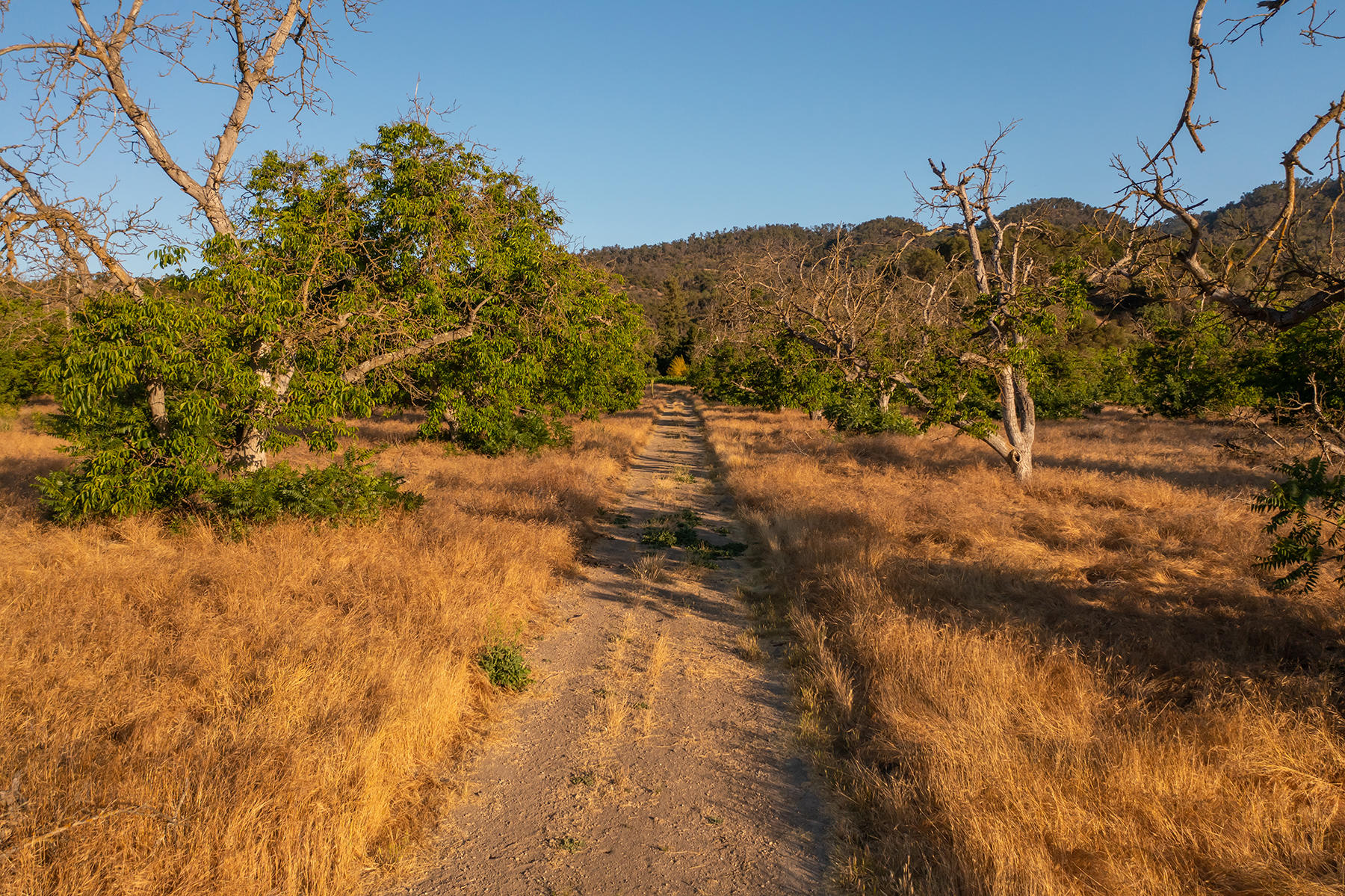 9342 Ojai Santa Paula Road Ojai, CA 93023 - Photo 45 of 45 S8C_9342 Ojai Santa Paula_44