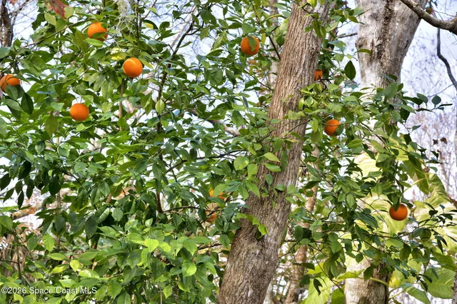 $375,000 | 4126 Fitzroy Reef Drive, Mims, FL 32754