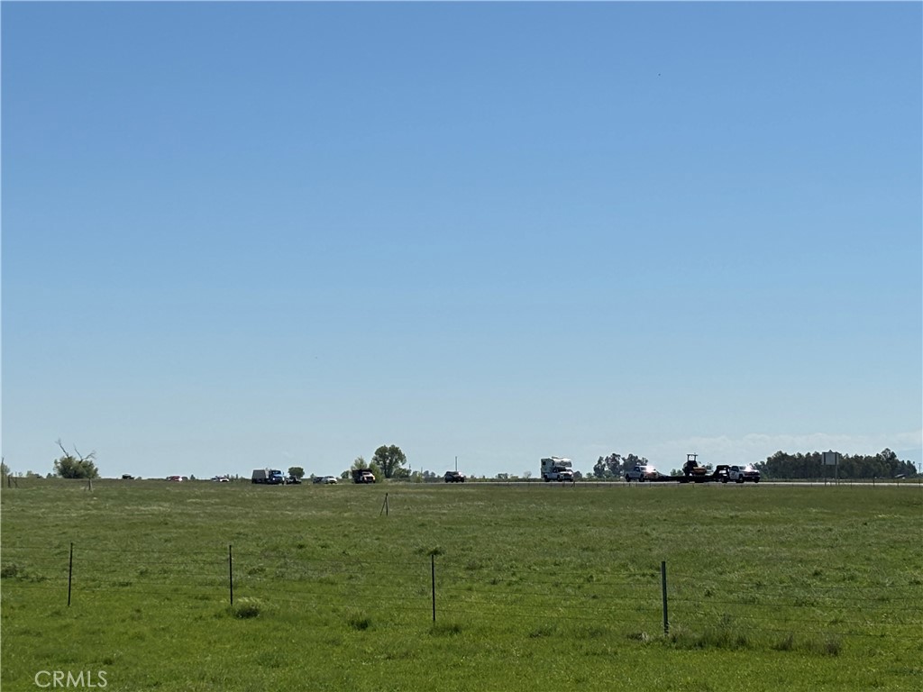 a view of a grassy field with trees