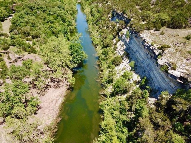 a view of a garden with a tree