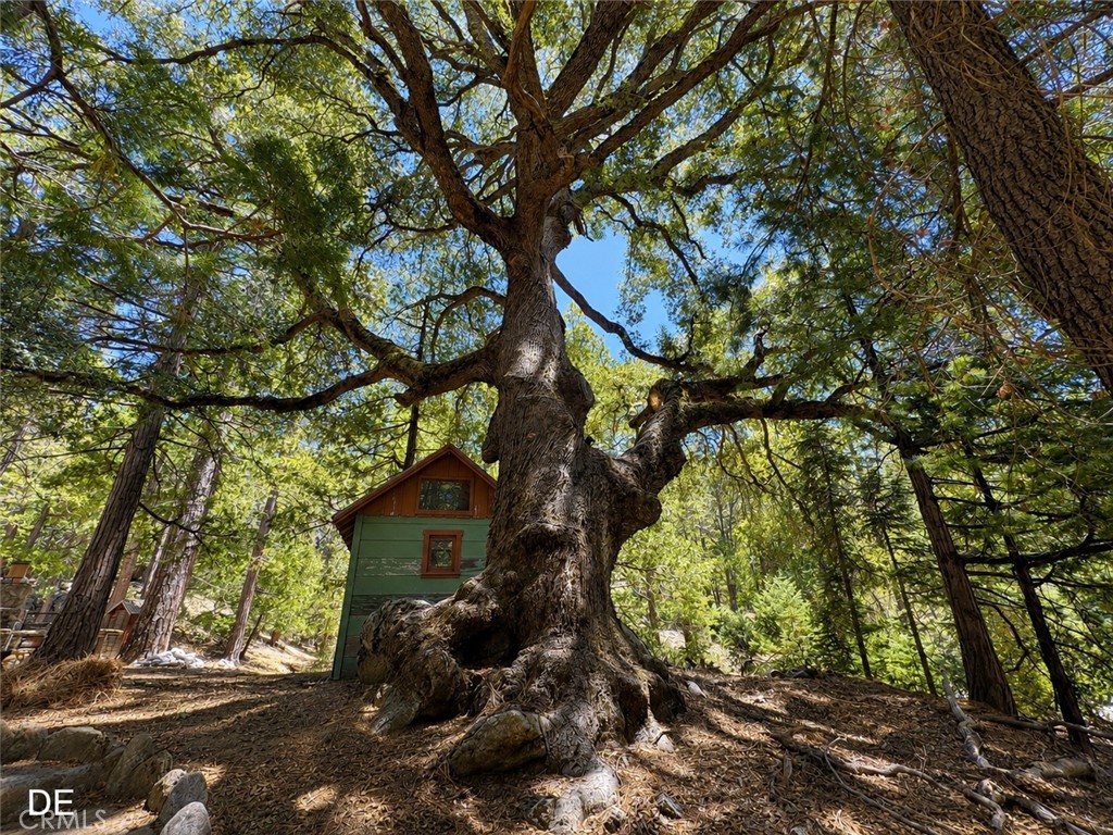 52915 Forest Rte 4S02 Idyllwild, CA 92549 - Photo 23 of 30