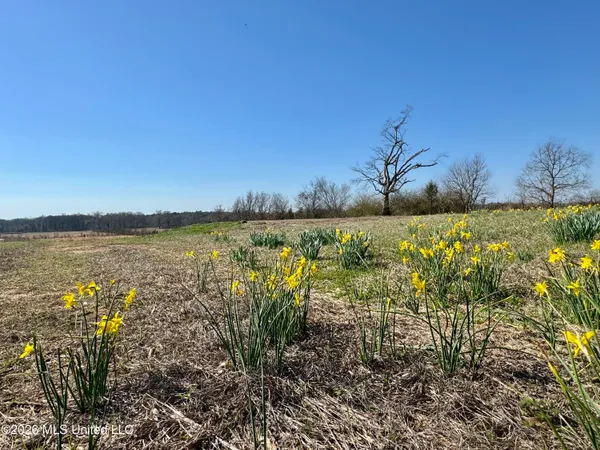 $139,500 | 1055 Jenkins Road, Terry, MS 39170