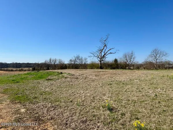 $139,500 | 1055 Jenkins Road, Terry, MS 39170