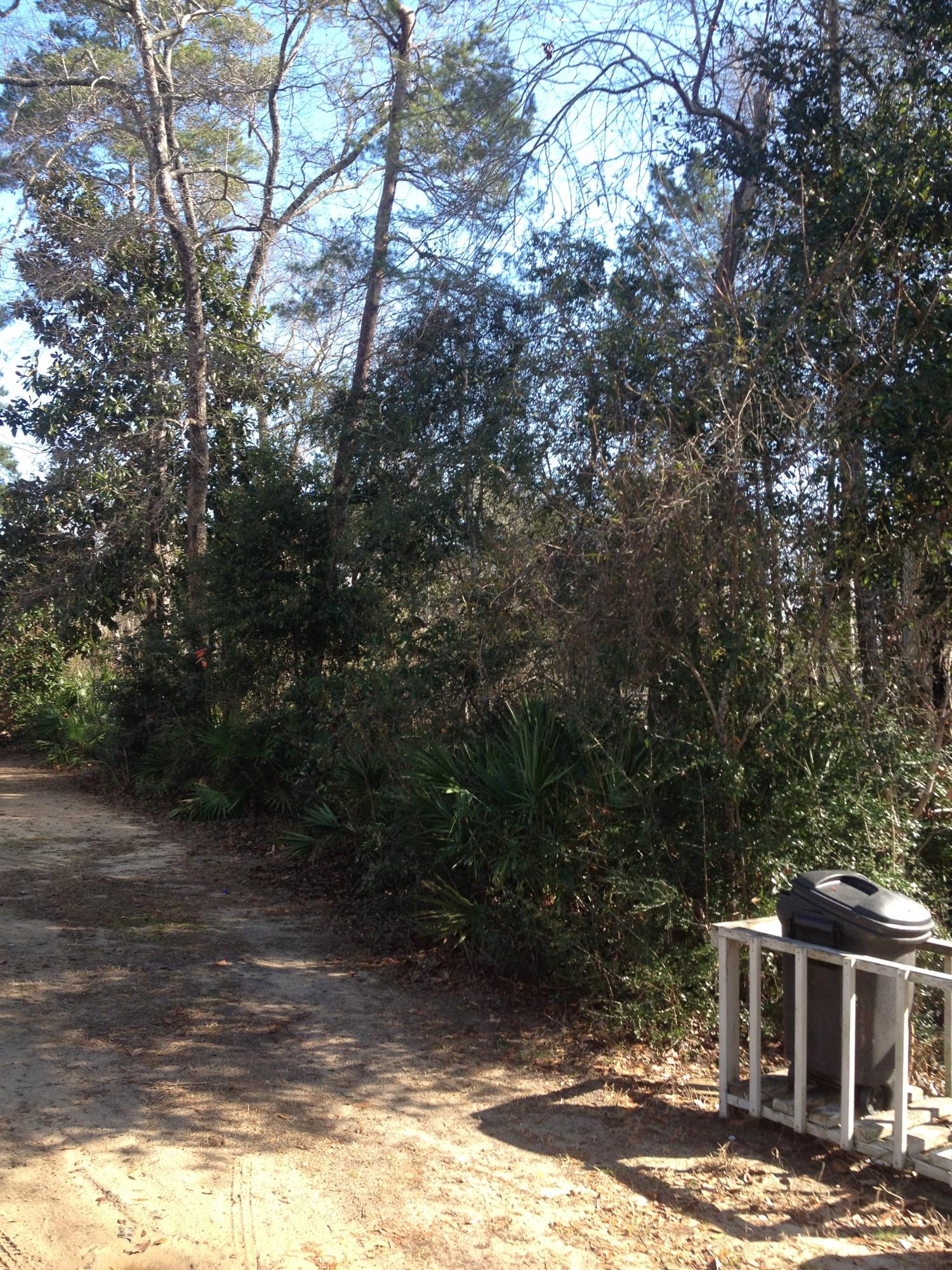 N/a Stillwater Road Freeport, FL 32439 - Photo 2 of 4 Gallery Image 2